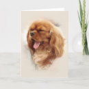 Search for cavalier king charles spaniel cards Pet