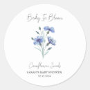 Search for cornflower stickers Baby in bloom