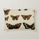 Search for insect cushions Animals