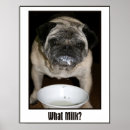 Search for what posters Drink