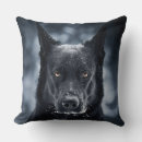 Search for german shepherd cushions Animals