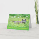 Search for weed cards Garden