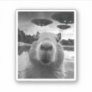Search for capybara crafts party Funny