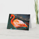 Search for waterfowl cards Photography