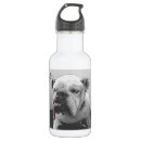 Search for motivational water bottles Black and white