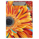 Search for colourful clipboards Flowers