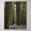 Search for redwood posters Outdoors