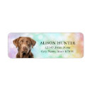 Search for chesapeake return address labels Dog