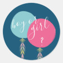 Search for baby shower gender reveal stickers Balloon