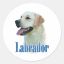 Search for retriever stickers Black lab