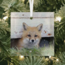 Search for newfoundland christmas tree decorations Nature