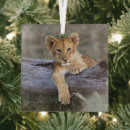 Search for kenya christmas tree decorations Cute