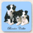 Search for working breed White