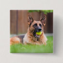 Search for ball badges Pet