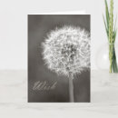 Search for dandelion make a wish cards Floral