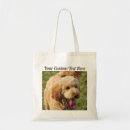 Search for poodle accessories Golden doodle