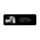 Search for fantasy return address labels Magical