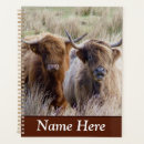 Search for scottish highland cattle office supplies Farm