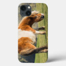 Search for pasture cases Animal