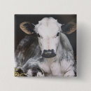 Search for crops badges Animals