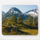 Search for near mousepads Forest