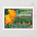 Search for the brownies postcards Fruit