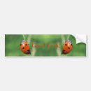 Search for ladybug bumper stickers Red