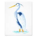 Search for blue heron art Nature