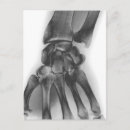 Search for biology photography Black and white photography