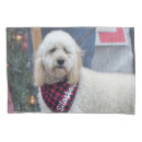 Search for poodle pillowcases Dog