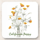 Search for california coasters Original