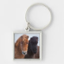 Search for icelandic horses key rings Equus caballus
