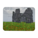 Search for red poppies magnets Remembrance