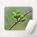 Search for spring bud mousepads Buds