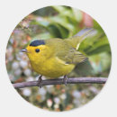 Search for springtime stickers Yellow