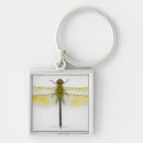 Search for white background key rings Insect