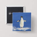Search for funny penguin badges Animal