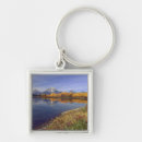 Search for mirror key rings Nature