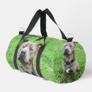 Search for purebred accessories Pet