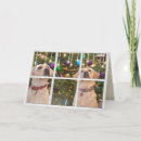 Search for yellow labrador christmas cards Pet