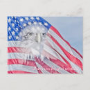 Search for american flag bald eagle postcards Red white and blue