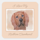 Search for coonhound stickers Dog