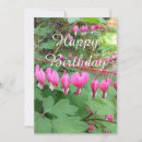 Search for bleeding heart cards Nature