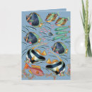 Search for reef cards Fish