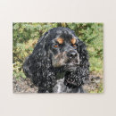 Search for cocker spaniel puzzles Black
