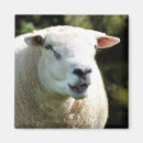 Search for ram magnets Animals
