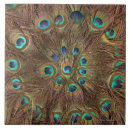 Search for feathers pattern tiles Animal