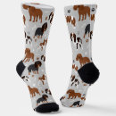 Search for spaniel socks Pet