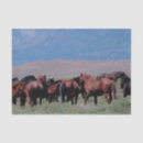 Search for wild horse tissue paper Horses