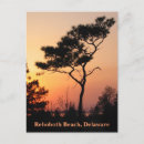 Search for rehoboth postcards Delaware